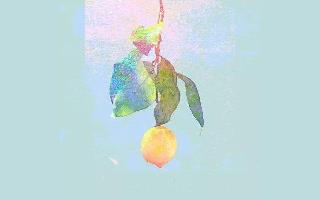 谈恋爱前请记得试香